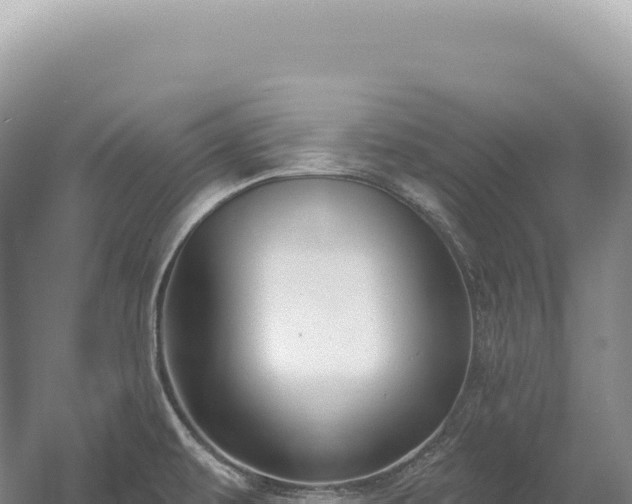 X0000054421479200508051753