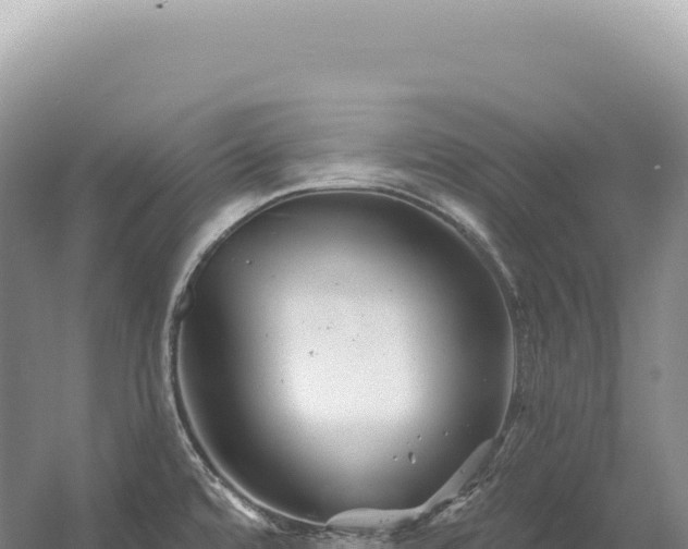 X0000054421480200508051753