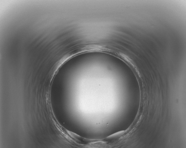 X0000054421481200508051753