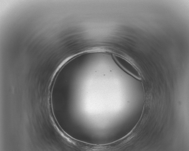 X0000054421484200508051753