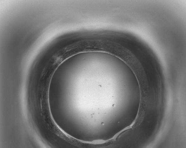 X0000054421487200508051753