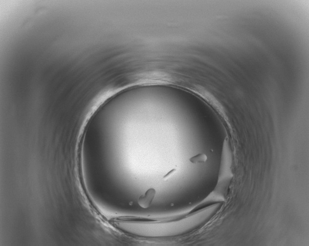 X0000054421488200508051753