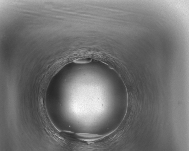 X0000054421489200508051752