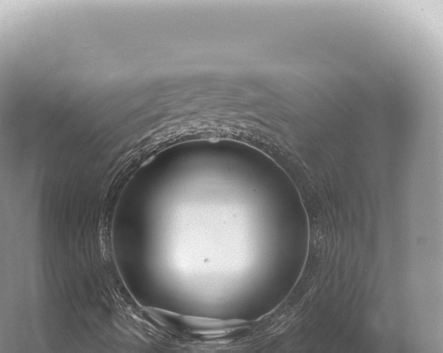 X0000054421490200508051752