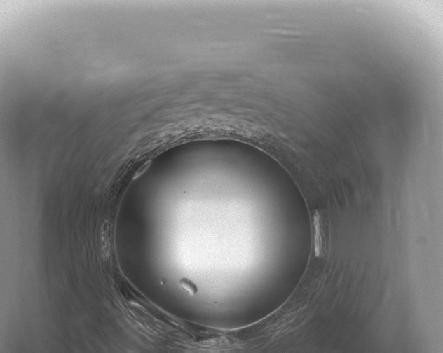 X0000054421491200508051752