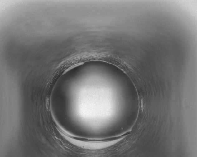 X0000054421492200508051752