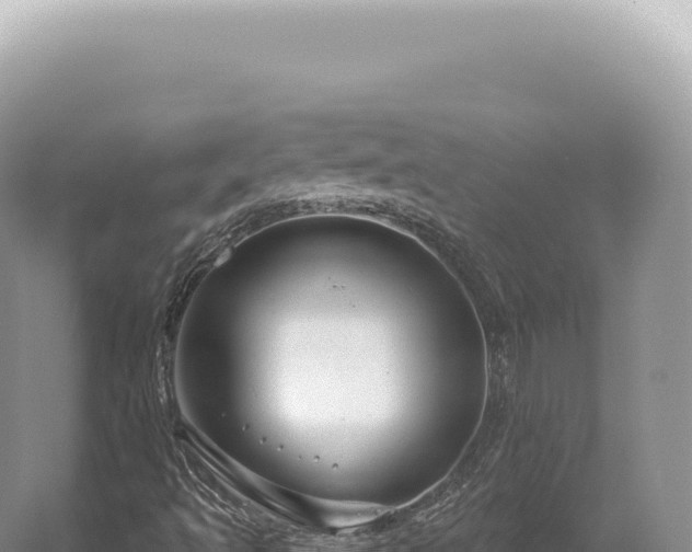 X0000054421493200508051752