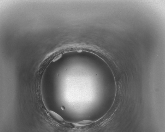 X0000054421494200508051752