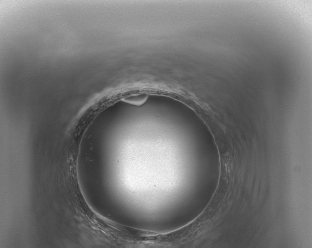 X0000054421495200508051752