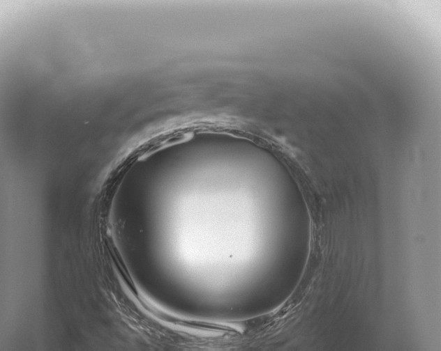 X0000054421496200508051752