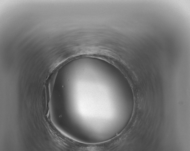 X0000054421497200508051752