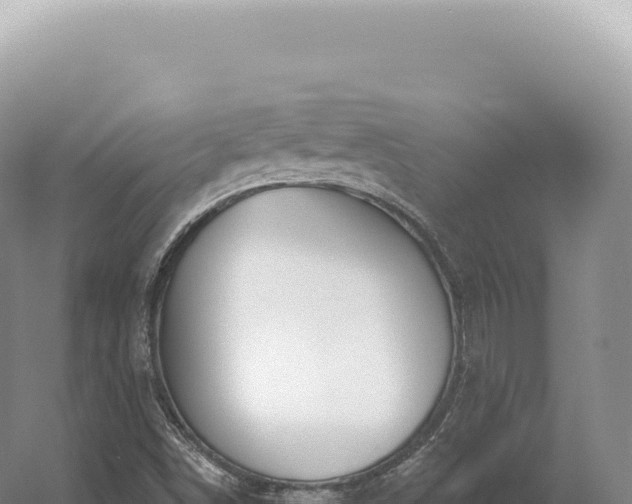 X0000054421498200508051752