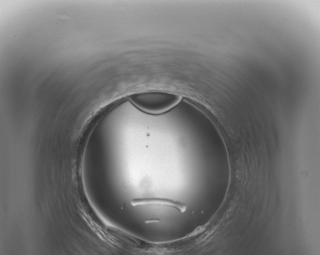 X0000054421499200508051752