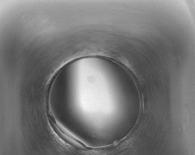 X0000054421500200508051752