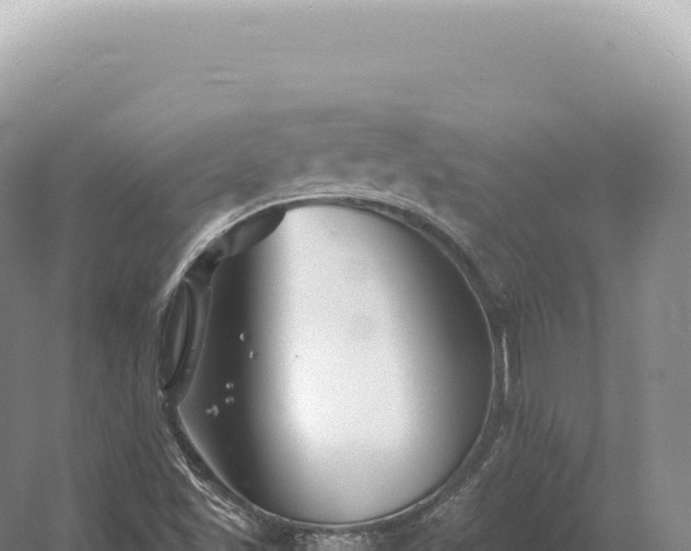 X0000054421501200508051752