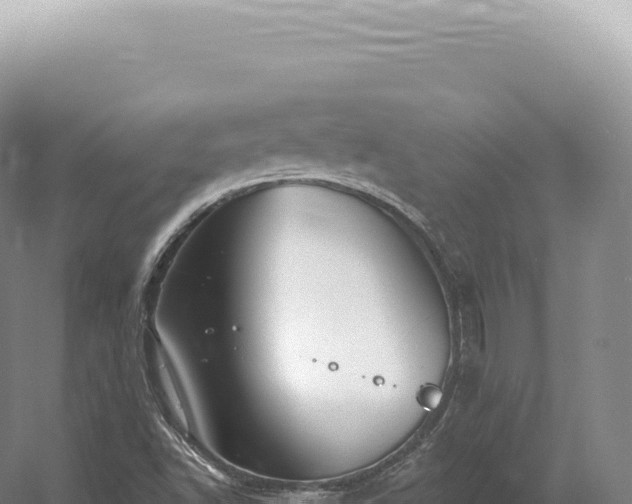 X0000054421502200508051752