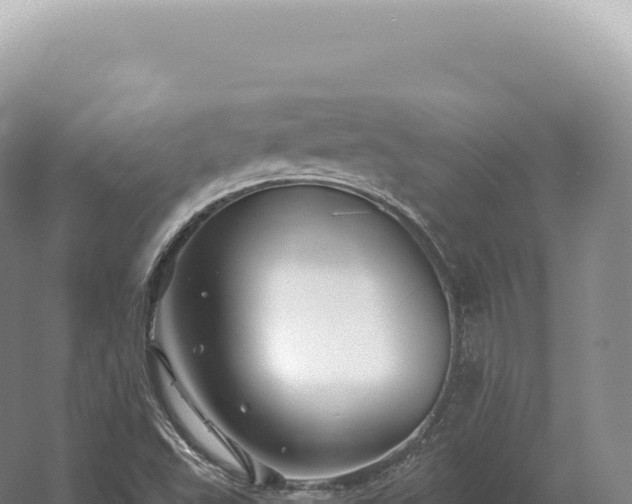 X0000054421503200508051752