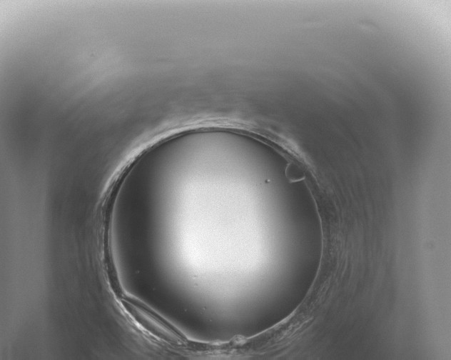 X0000054421504200508051752