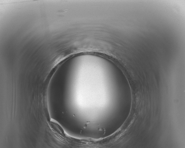 X0000054421505200508051752