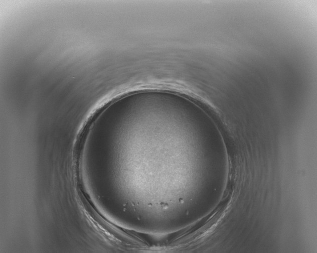 X0000054421506200508051752