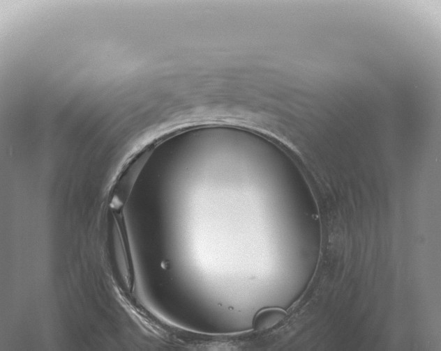 X0000054421507200508051752