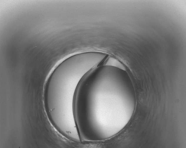 X0000054421508200508051752