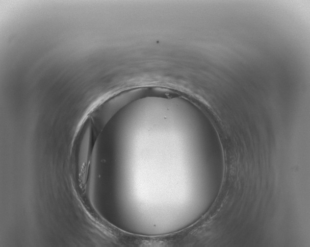 X0000054421509200508051752