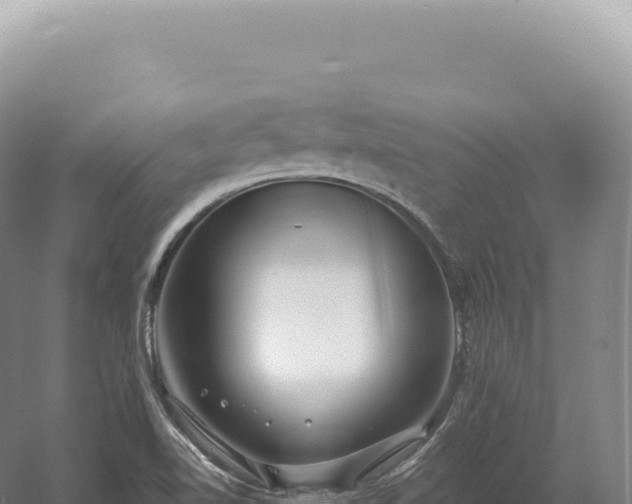 X0000054421510200508051752