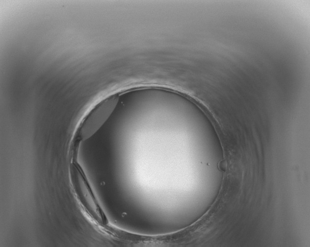 X0000054421511200508051752