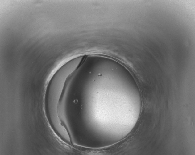 X0000054421512200508051752