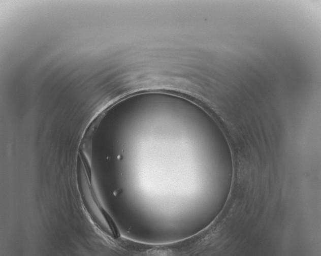 X0000054421513200508051752