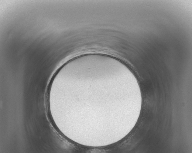 X0000054421514200508051752