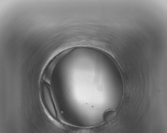 X0000054421515200508051752