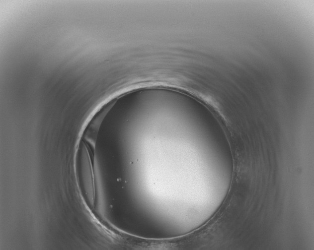 X0000054421516200508051752