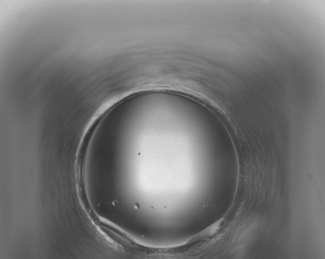 X0000054421517200508051752