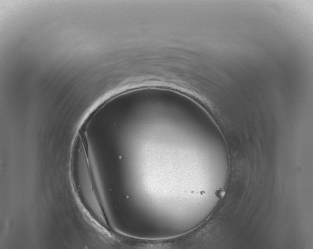 X0000054421518200508051752