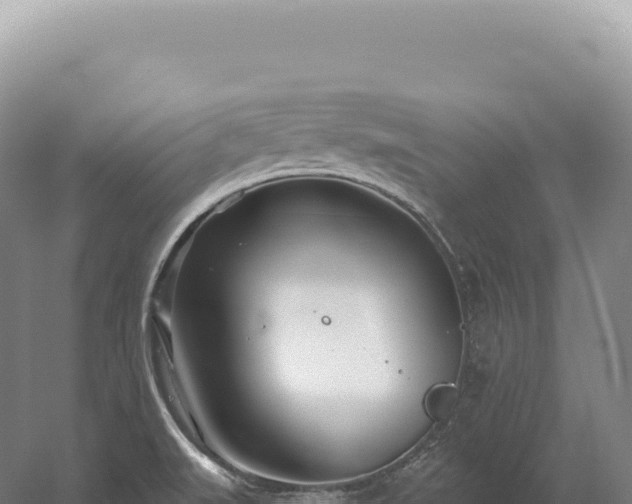 X0000054421519200508051752