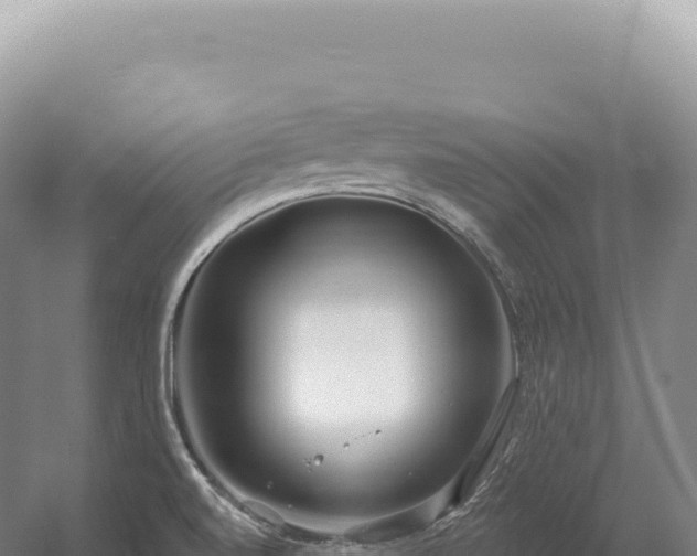 X0000054421520200508051752