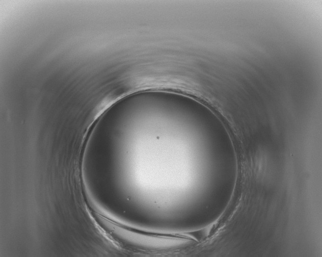 X0000054421521200508051752