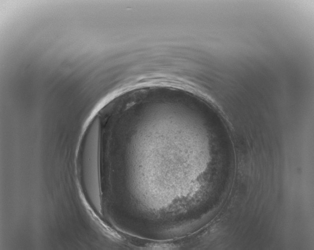 X0000054421522200508051752