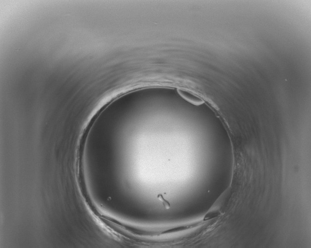 X0000054421523200508051752