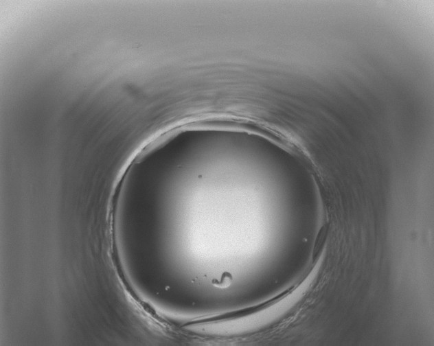 X0000054421524200508051752