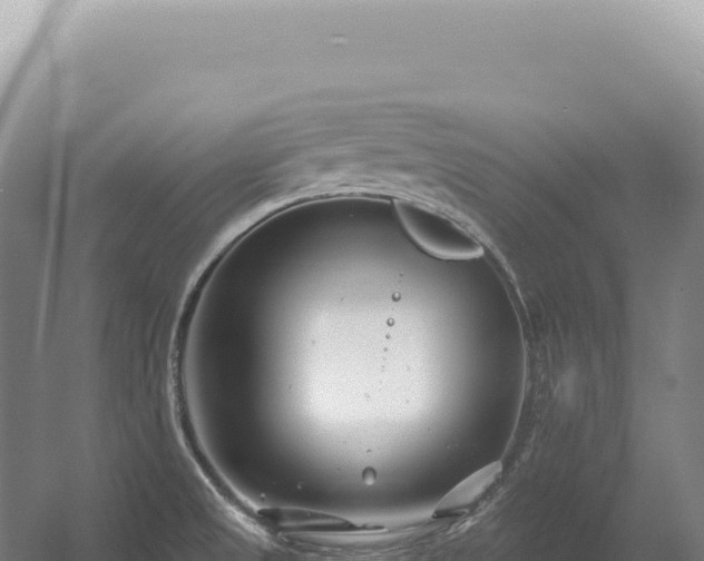 X0000054421525200508051752