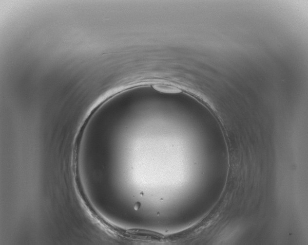 X0000054421526200508051752