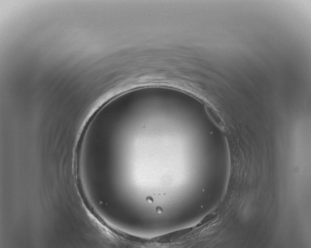 X0000054421527200508051752