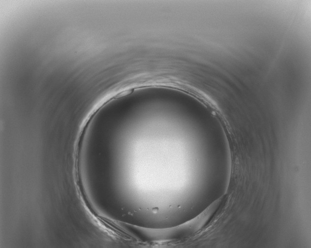 X0000054421528200508051752