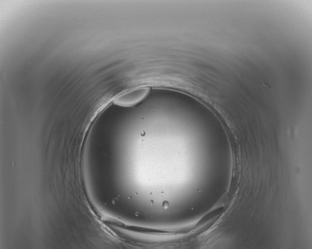 X0000054421529200508051752