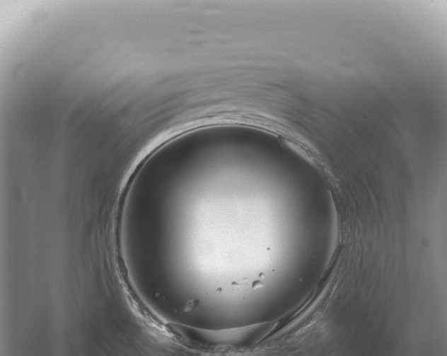 X0000054421530200508051752