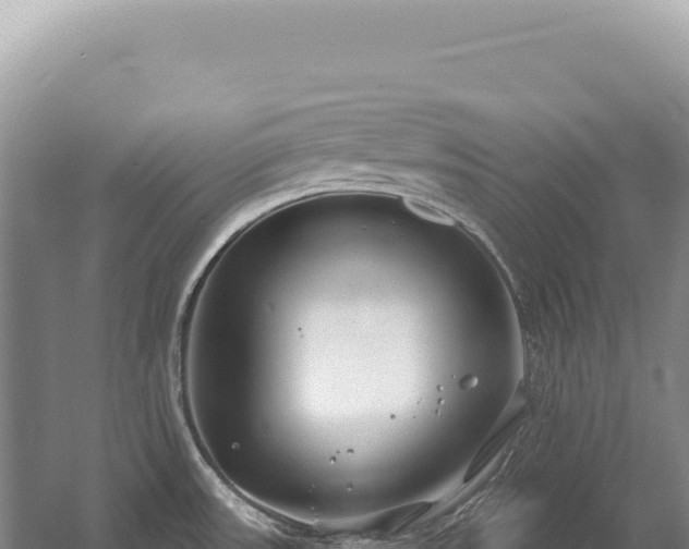 X0000054421531200508051752