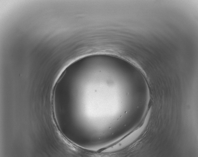 X0000054421532200508051752